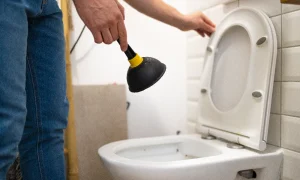 shower and toilet clogged