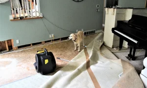 restoration is crucial for water damage