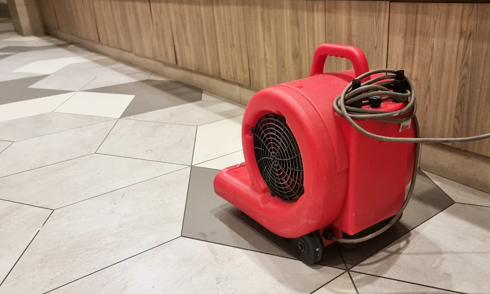 why professional restoration is crucial for water damage