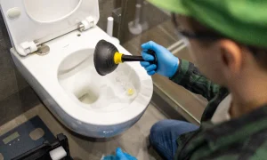 clogged toilet